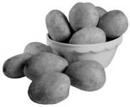 如何选购马铃薯和山药