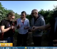 ����ɽ���µ����Ѿƴ��� (348����)