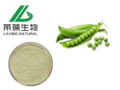 �㶹���� �㶹���� �㶹���׳��� �㶹�����ֻ���Ӧ