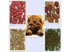 ��ӦSLG������ʳl������