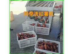 ȫ�Զ�������ϴ�� ����ë��ϴ��������