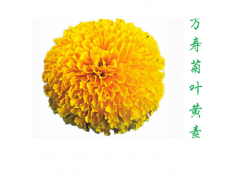 Ҷ�������ֻ�����ԴʳƷ���پշ�