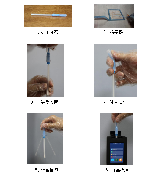 ATP����ӫ�������