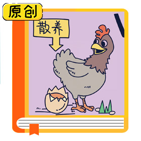 科普漫画：蛋黄越红越好吗？ (1)