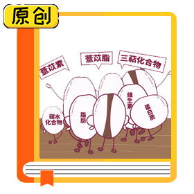 科普漫画：世界禾本科植物之王——薏米（食育） (1)