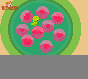 科普视频：盐水洗菜真能去农残吗？ （食品谣言）