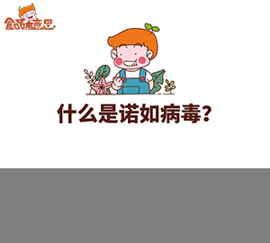 科普视频：什么是诺如病毒？