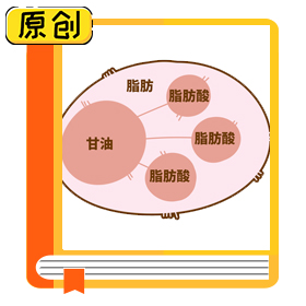 科普漫画：脂肪太少也不好 (1)