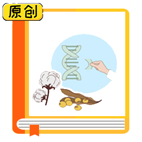 科普漫画：普通育种和转基因育种有什么区别？ (2)
