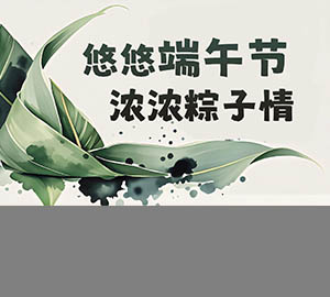 悠悠端午节，浓浓粽子情