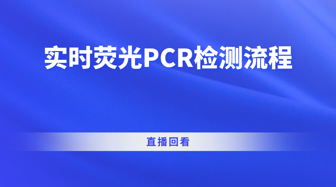 实时荧光PCR检测流程