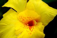 ���˽�����������